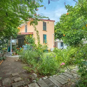  Appartement D'une A A 1 M De La Avec Vue Sur La Jardin Clos Et Wifi Martinique