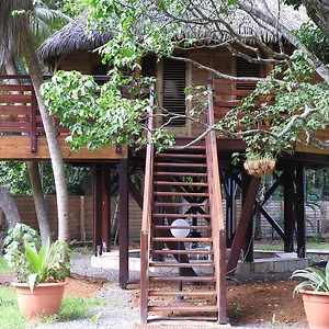  Chalet Insolite Ara Wakan / Ma Guadeloupe